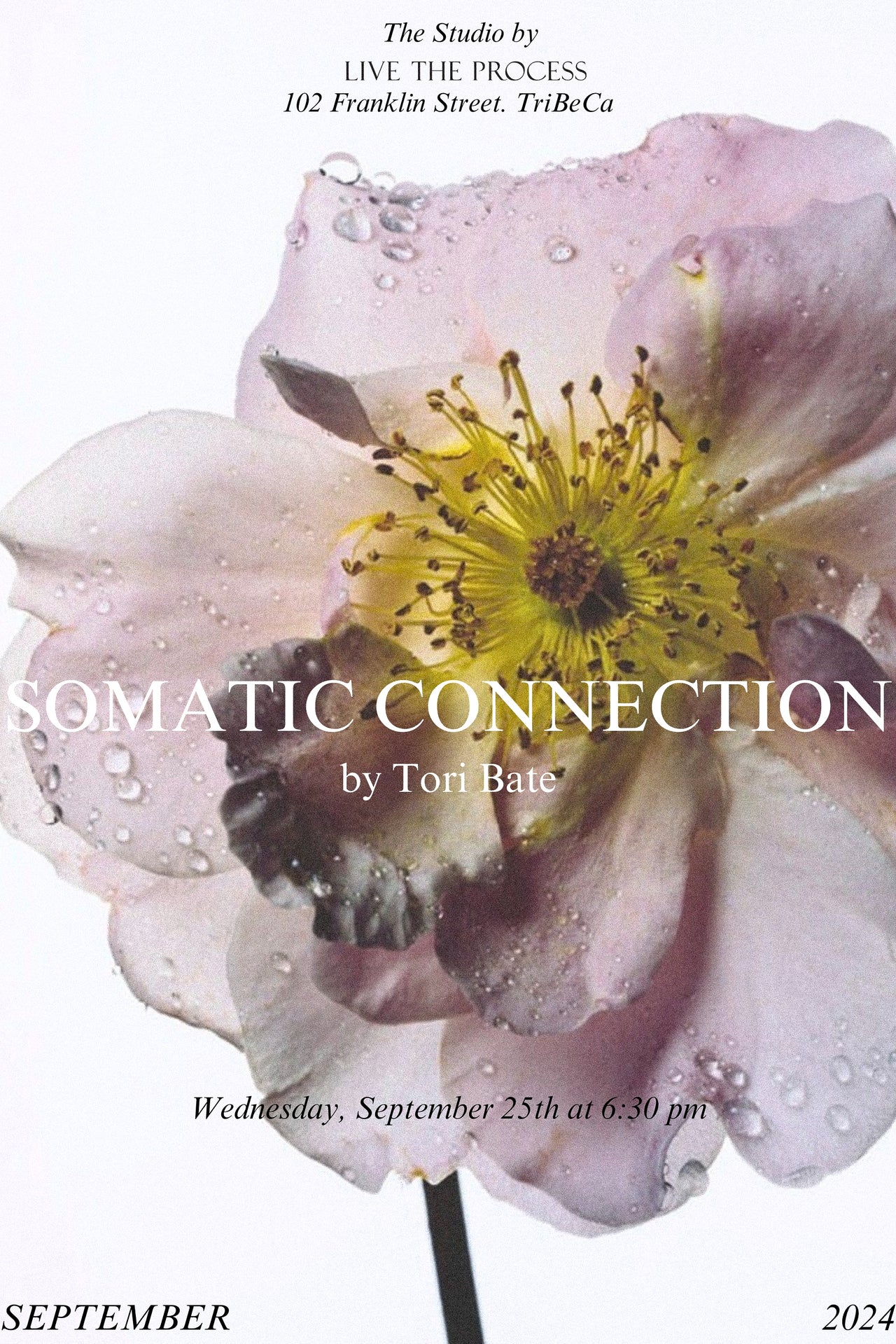 Somatic Connection Class