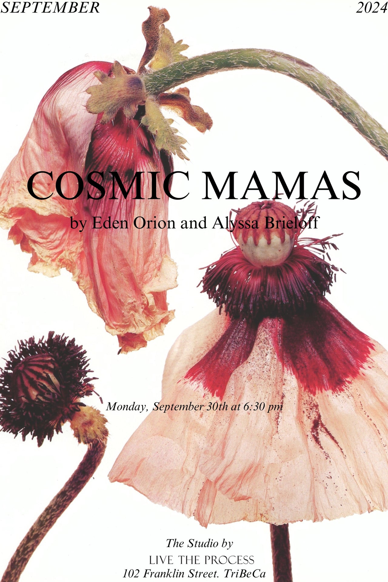 Cosmic Mamas Workshop