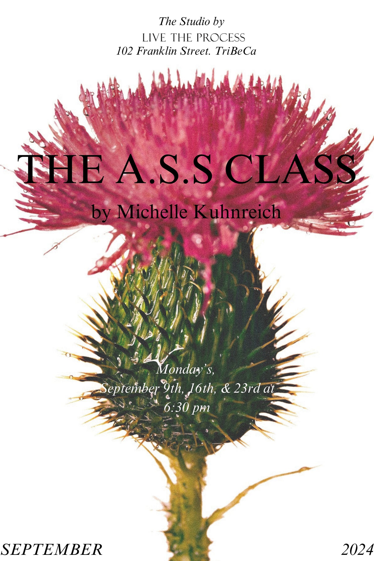 Promotional poster for The A.S.S Class by Michelle Kuhnreich, featuring a pink flower and class details for September 2024 in TriBeCa.